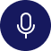 VoiceChat
